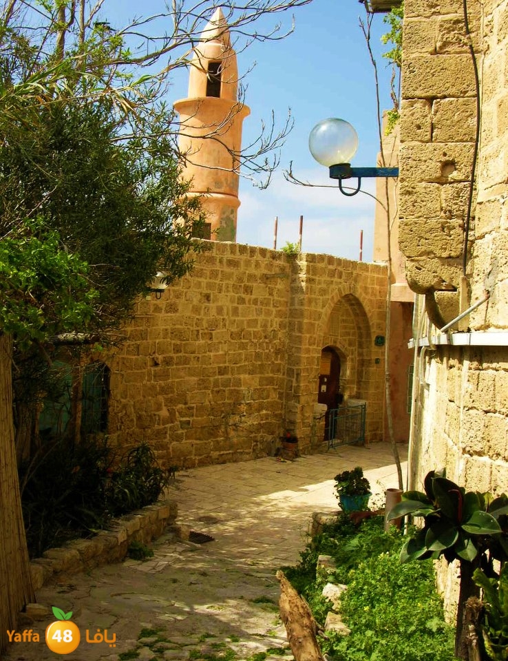 tabiya masjed 0312 (9).jpg